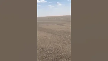 ٣٠٠٠ فدان للبيع فى وادى النطرون 
