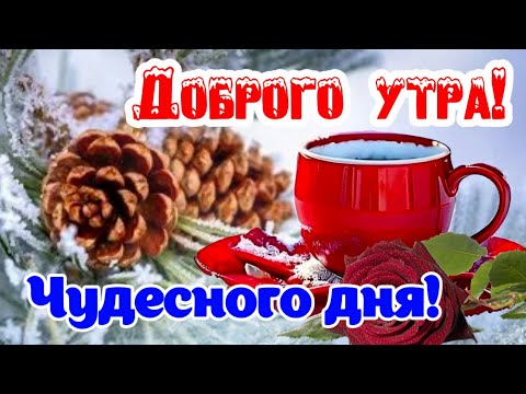 Доброе Утро! 🌺 Здоровья всем и Ангел оберегом! ❄️🕊 Красивые пожелания Доброго Утра!