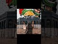 تحيا فلسطين تحيا مصر تحيا فلسطين