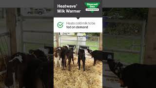 Heatwave Milk Warmer