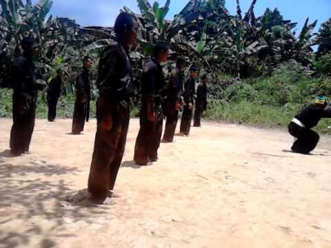 Sh Terate cabang bunga raya - YouTube