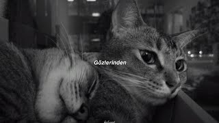 Didomido Bahsetmem Lazım Sözleri