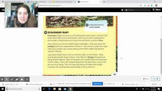 Rain Forest Food Chains Lesson 3 with Mrs. Weaver