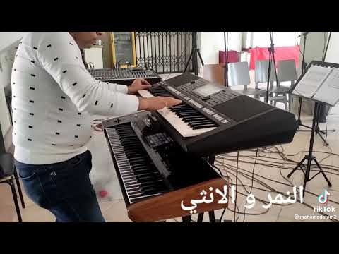 عزف محمد حاتم للنمر والانثى