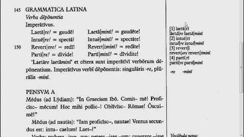 Lingua - 25.G - Reading Tutorial