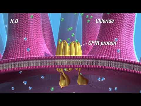 PULMOZYME® (dornase alfa) Mechanism of Action for Cystic Fibrosis