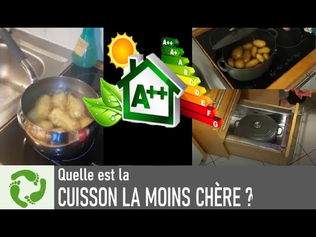 Ain. Chez Bestone, « une culture » vitale de l'économie d'électricité