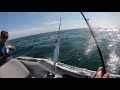 Honwave Fishing - We found the Mackerel again