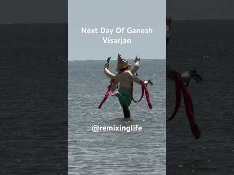 Post Ganesh Visarjan