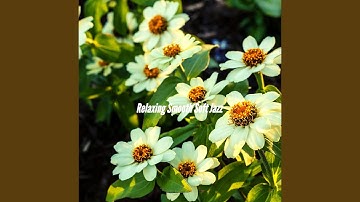 Incredible Waltz - Vibe for Chasing Perfection