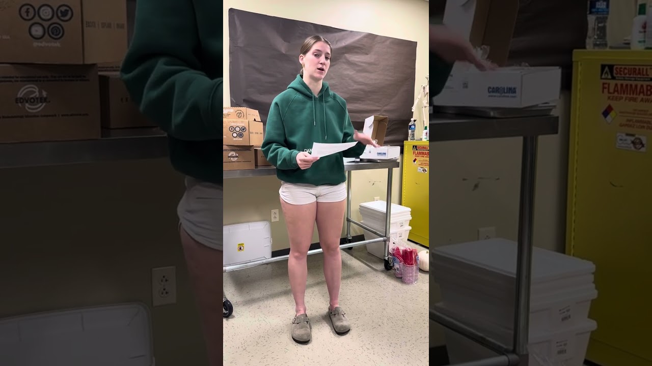 Inspirational Speech