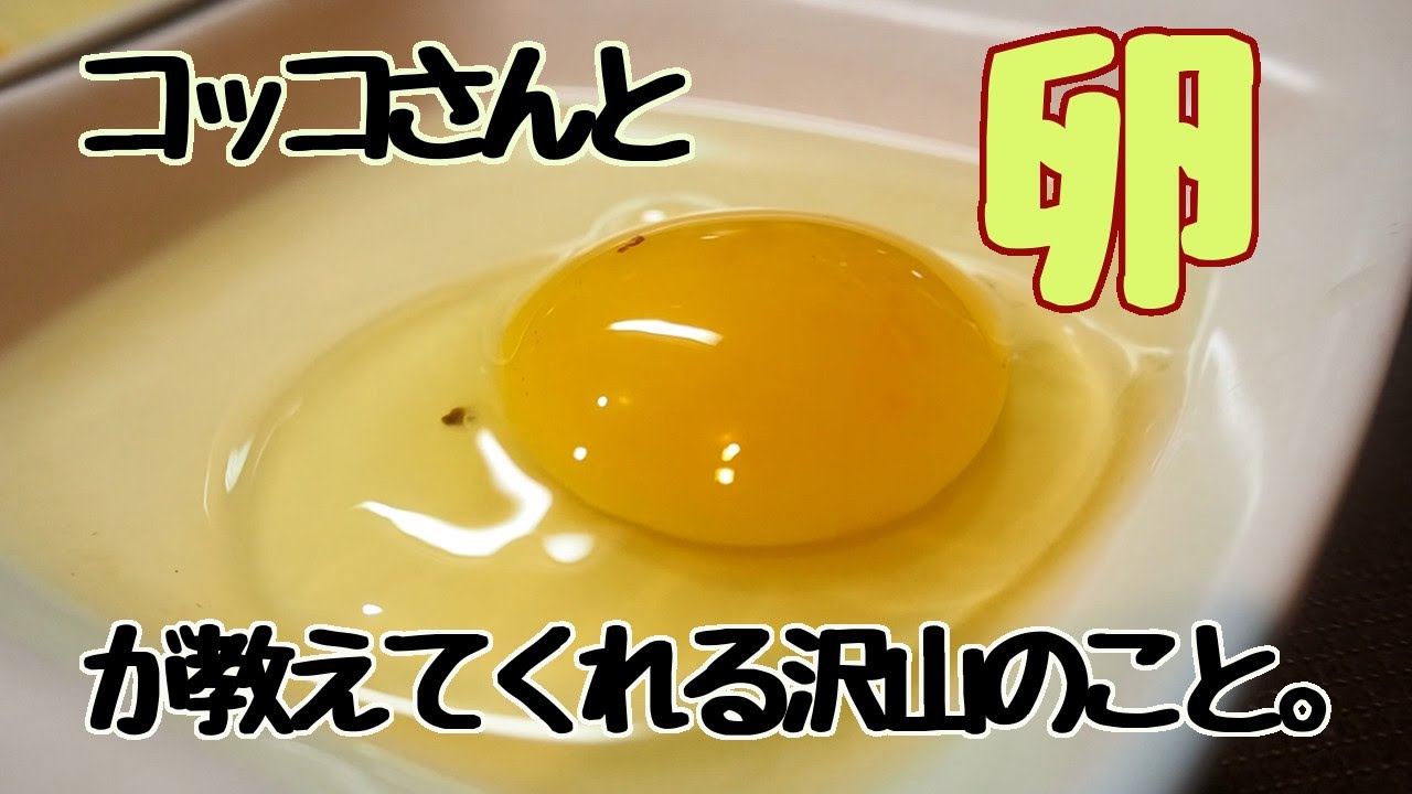 コパークラフト  鶏と子供 Amazon.co.jp: Zicke Zacke Hühnerkacke: Für 2-4 Spieler ab 4 Jahren