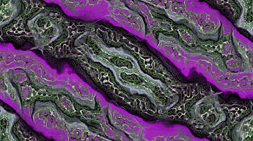 Alien Tissue Turing Pattern.