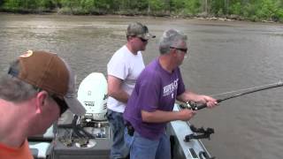 Spoonbill Snagging Lake of the Ozarks