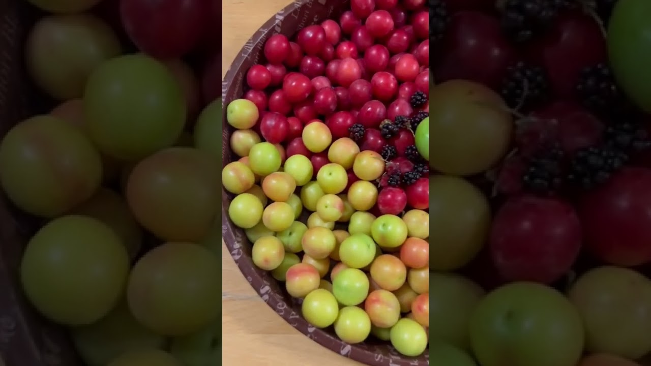 Mixed Fruits YouTube