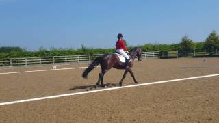 Novice 30 Dressage Test April 2017 Kingswood