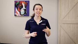 Sit Means Sit Training Demonstration