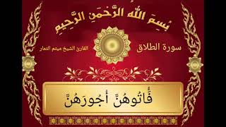 سورة الطلاق القراء الشيخ ميثم التمار