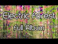 Electric Forest - an Experimental Ambient Adventure