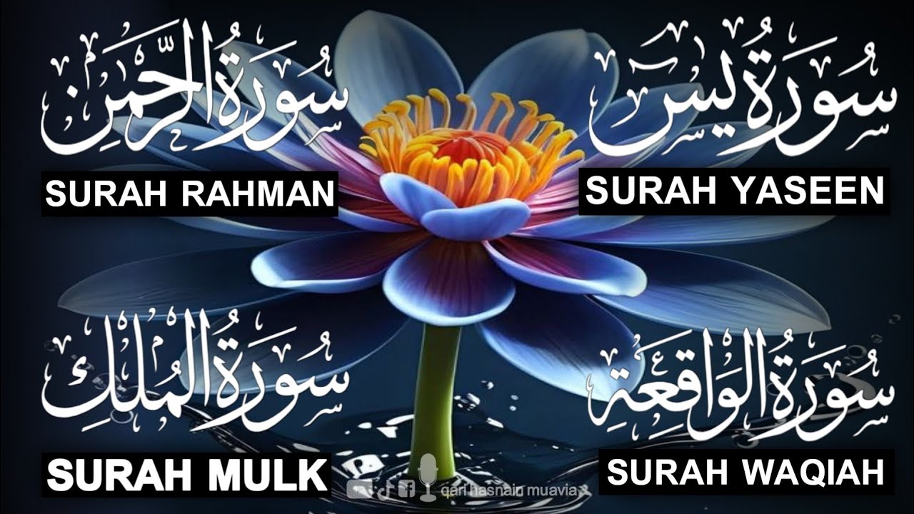 Surah Yasin ❤️ (Makki), Rahman, Waqiah & Mulk | Ep 386 | Daily Quran Recitation & Blessings