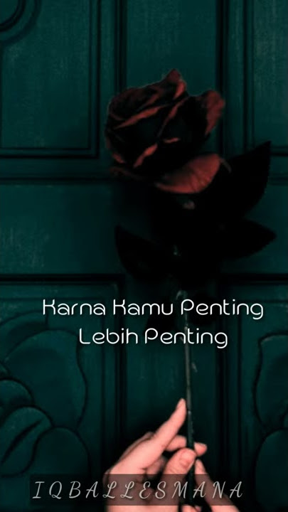 Story wa Lebih dari egoku - Mawar de jongh