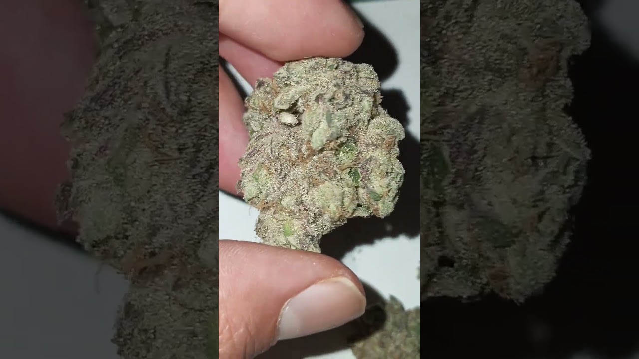 710 Labs Jackson Hieghtz Richi Rich Sanchez