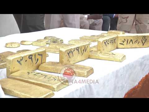 شاهد بالفيديو سبائك الذهب السوداني بيد قوات الدعم السريع