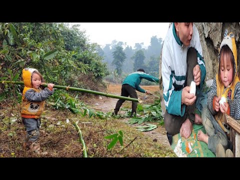 Today, father and son went to cut bamboo trees to build a house.||bé ánh Orphan