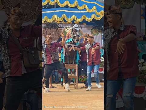 Jaran Serek Naik Bangku Sekolah