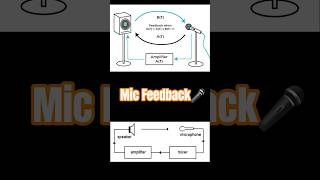 Understanding Mic Feedback 🎤