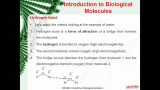 1001 MSC Module5 Part1 23min(OLD)