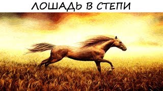 Тест - СИМВОЛДРАМА «Лошадь в степи» проанализирует вашу жизнь! Психология!