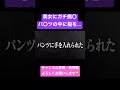 【ジュキヤ切り抜き】 美女にガチ痴⚫︎。パ⚫︎ツの中に指が... #shorts