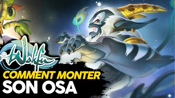 Comment monter son osa Dofus rétro ?