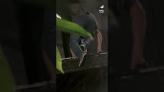 Anacondas Are On The Prowl Anaconda