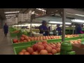 Community- Private Partnerships a solution for land reform in South Africa