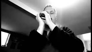 Slow Blues Chromatic Harmonica Jam - Hohner CX-12