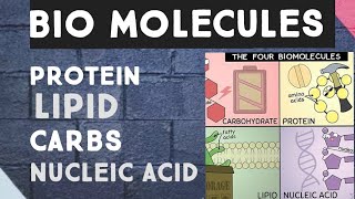 WHAT IS BIOLOGICAL MOLECULES   proteins|carbohydrates|lipid|#neet #biochemistry #mdcatbiomcqs