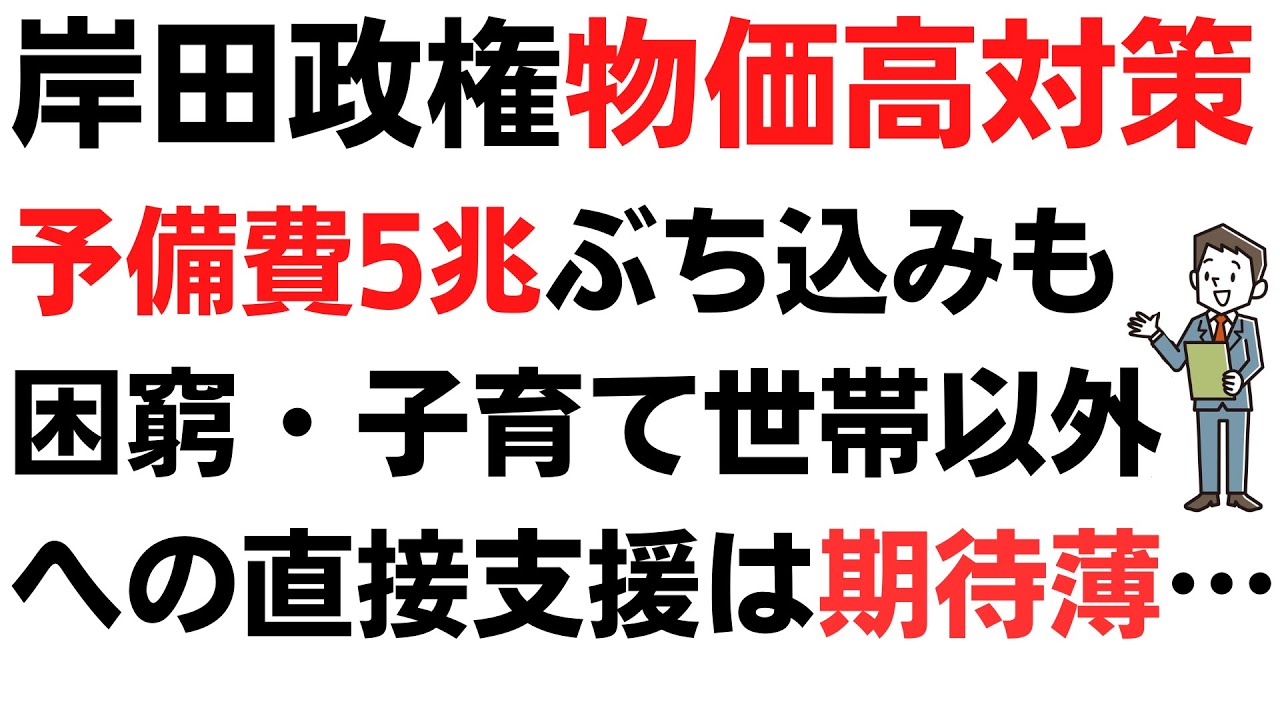 岸田政権物価高対策、予備費5兆ぶち込みも困窮・子育て世帯以外への直接支援は期待薄…もっと上乗せして全国民一律現金給付すればいいのにを扱う動画のサムネイル
