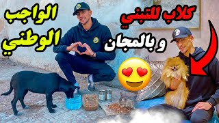 كلاب للتبني و بالمجان 😍 الواجب الوطني 🙏🏼