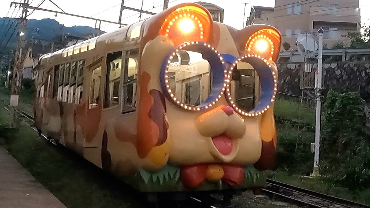 Как мило и потрясающе! Канатная дорога с дизайном собаки и кошки. |Ретро-парк развлечений