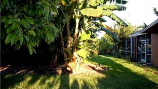 17421 SW 89th Ct,Palmetto Bay,FL 33157 House For Sale