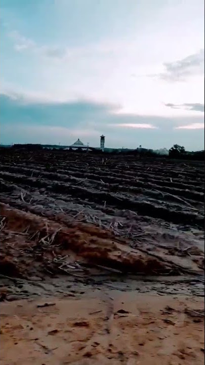 Efek gedang klutuk #shorts #status #video #story #whatsappstatus