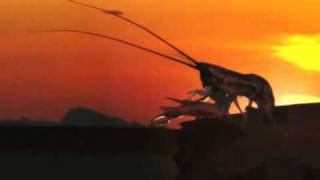 Видео Когда рак на горе свистнет (автор: zagmodell)