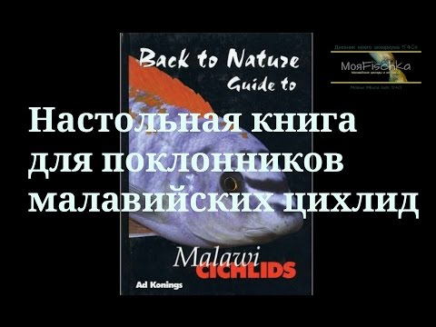 Настольная книга для поклонников малавийских цихлид. Эд Конингс "Гид по малавийским цихлидам"