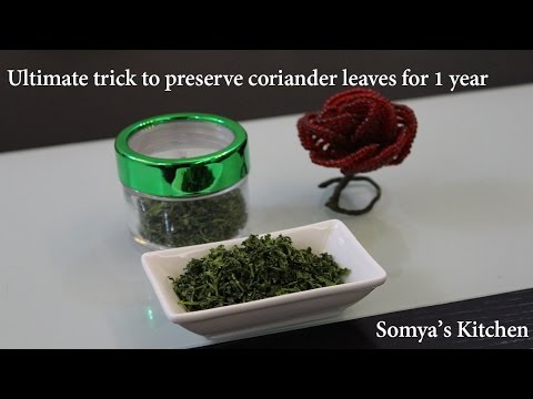 कैसे करें हरा धनिया को एक साल के लिए स्टोर  | Ultimate trick to preserve coriander leaves for 1 year