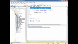 SQL Creating Tables (Basics)