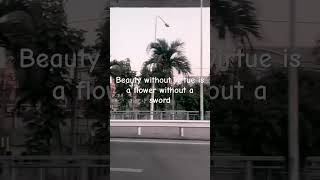 #music #love #explore #quotes #goodlife #reality #shortsfeed #motivation #facts #life #deep #bueaty