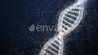 Plexus DNA