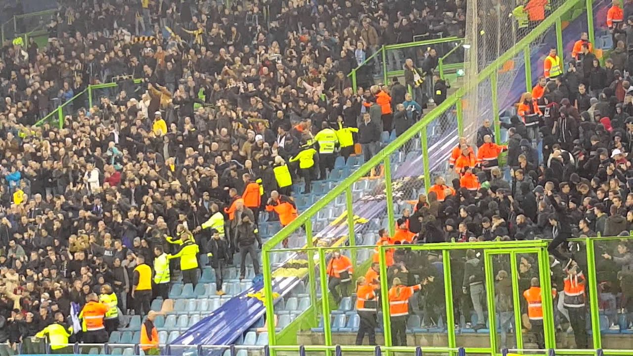 Boefjes bij Vitesse - NEC 2015
